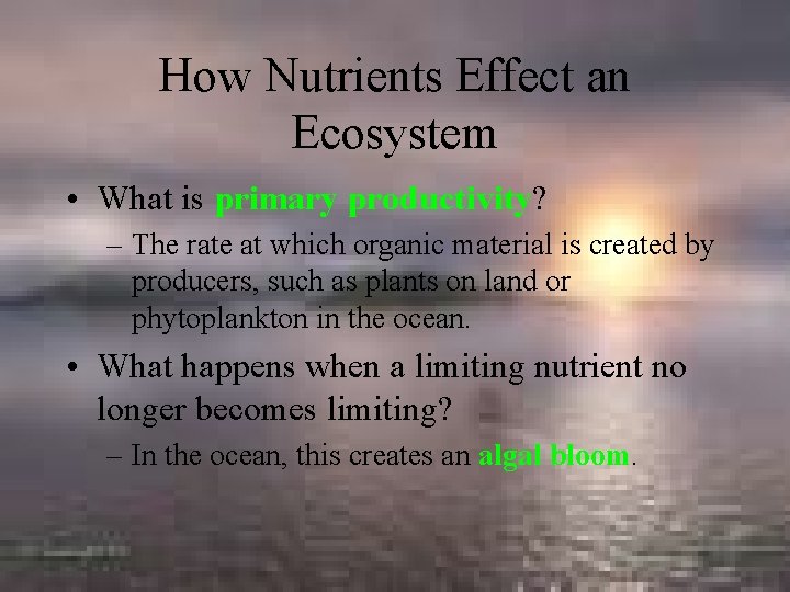 How Nutrients Effect an Ecosystem • What is primary productivity? – The rate at