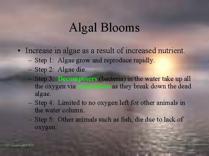 Algal Blooms • Increase in algae as a result of increased nutrient. – Step