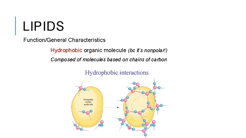LIPIDS Function/General Characteristics Hydrophobic organic molecule (bc it’s nonpolar!) Composed of molecules based on