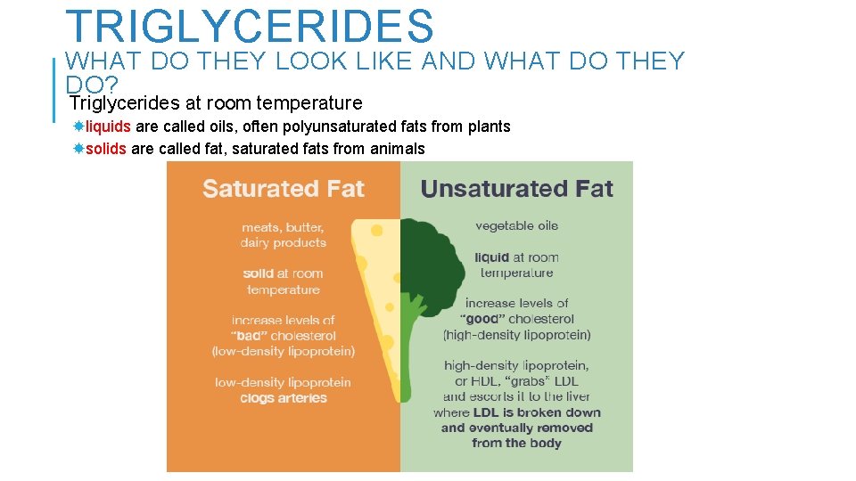 TRIGLYCERIDES WHAT DO THEY LOOK LIKE AND WHAT DO THEY DO? Triglycerides at room
