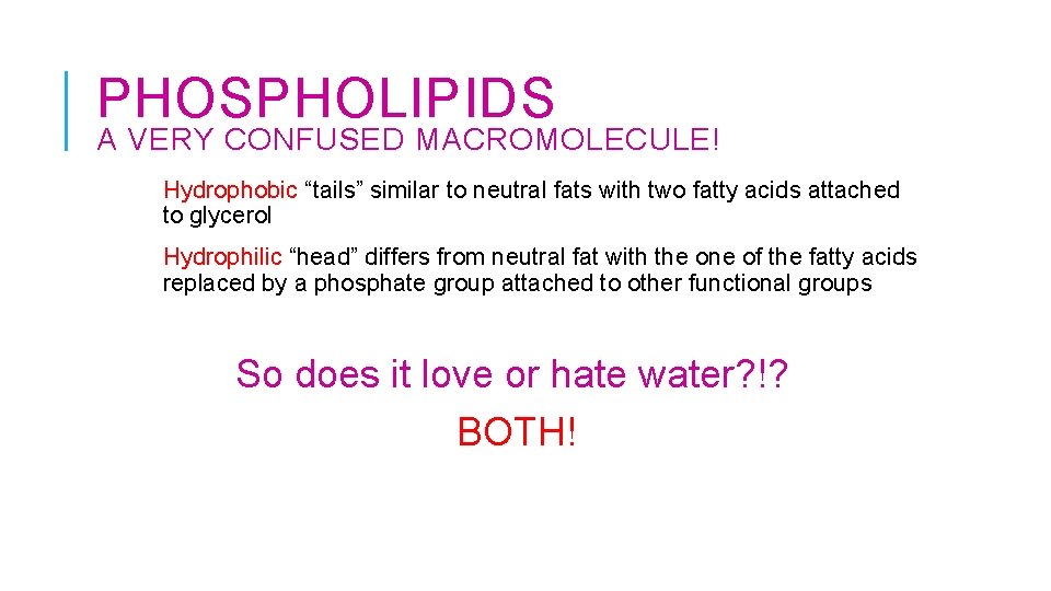 PHOSPHOLIPIDS A VERY CONFUSED MACROMOLECULE! Hydrophobic “tails” similar to neutral fats with two fatty