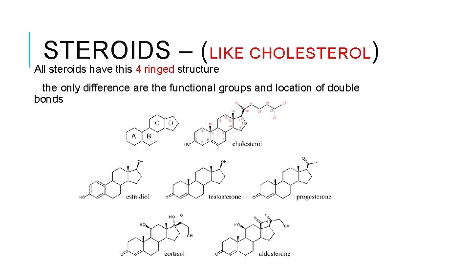 STEROIDS – (LIKE CHOLESTEROL) All steroids have this 4 ringed structure the only difference