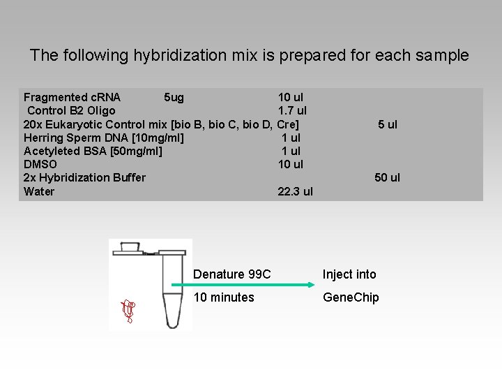 The following hybridization mix is prepared for each sample Fragmented c. RNA 5 ug