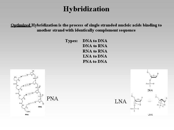 Hybridization Optimized Hybridization is the process of single stranded nucleic acids binding to another
