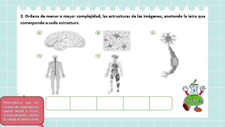 Recordemos que los niveles de organización parten desde lo micro, lo más pequeño, siendo