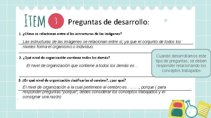 Item 3 Preguntas de desarrollo: Las estructuras de las imágenes se relacionan entre sí,