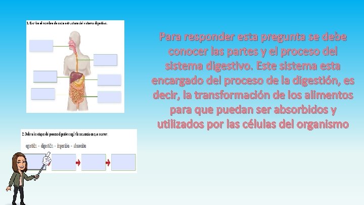 Para responder esta pregunta se debe conocer las partes y el proceso del sistema