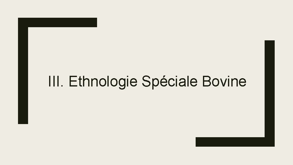 III. Ethnologie Spéciale Bovine 