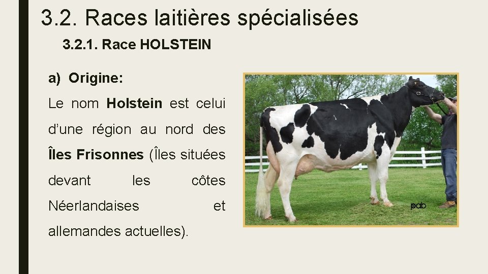 3. 2. Races laitières spécialisées 3. 2. 1. Race HOLSTEIN a) Origine: Le nom