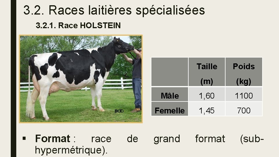 3. 2. Races laitières spécialisées 3. 2. 1. Race HOLSTEIN § Format : race
