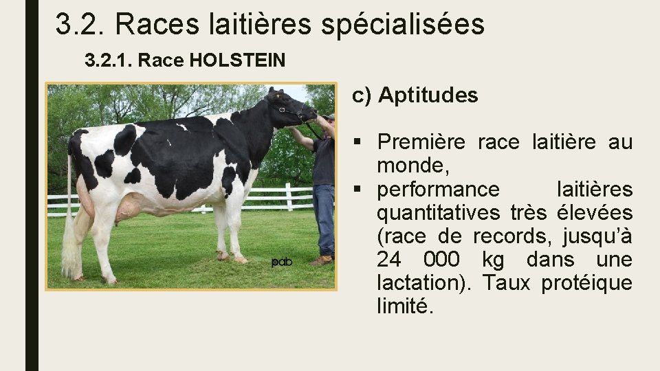 3. 2. Races laitières spécialisées 3. 2. 1. Race HOLSTEIN c) Aptitudes § Première