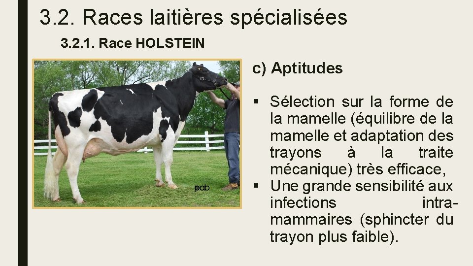 3. 2. Races laitières spécialisées 3. 2. 1. Race HOLSTEIN c) Aptitudes § Sélection