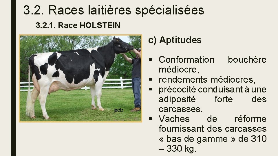 3. 2. Races laitières spécialisées 3. 2. 1. Race HOLSTEIN c) Aptitudes § Conformation