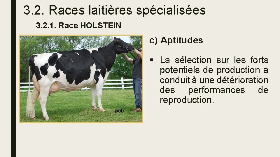 3. 2. Races laitières spécialisées 3. 2. 1. Race HOLSTEIN c) Aptitudes § La
