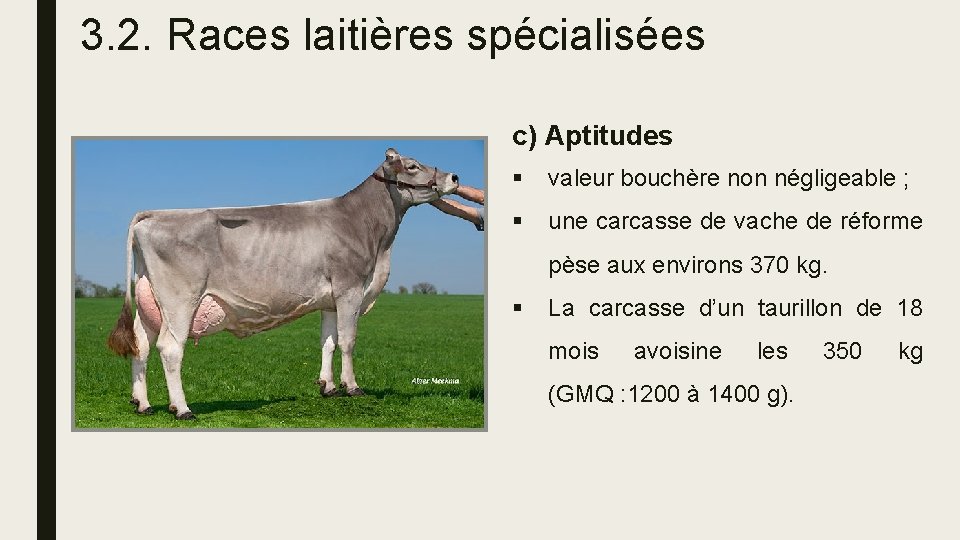 3. 2. Races laitières spécialisées c) Aptitudes § valeur bouchère non négligeable ; §