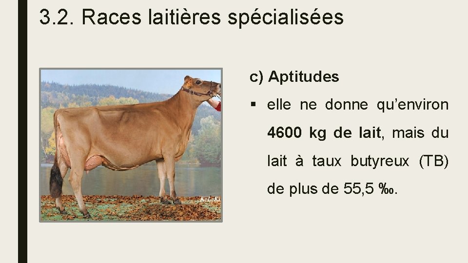3. 2. Races laitières spécialisées c) Aptitudes § elle ne donne qu’environ 4600 kg