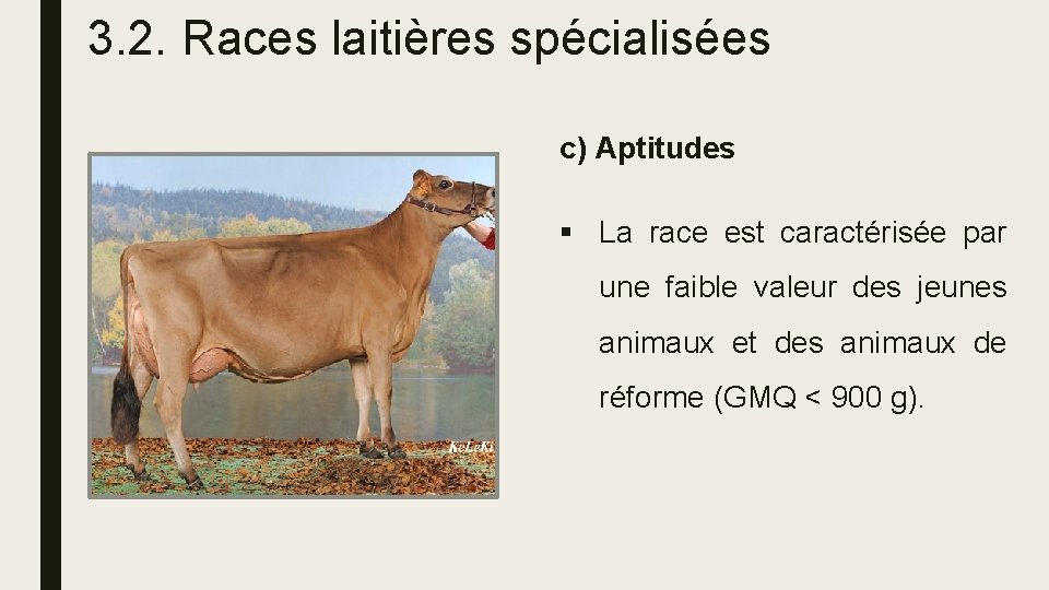 3. 2. Races laitières spécialisées c) Aptitudes § La race est caractérisée par une