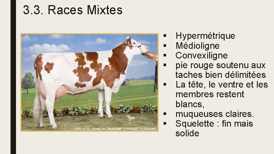 3. 3. Races Mixtes § § Hypermétrique Médioligne Convexiligne pie rouge soutenu aux taches