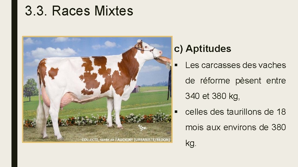 3. 3. Races Mixtes c) Aptitudes § Les carcasses des vaches de réforme pèsent