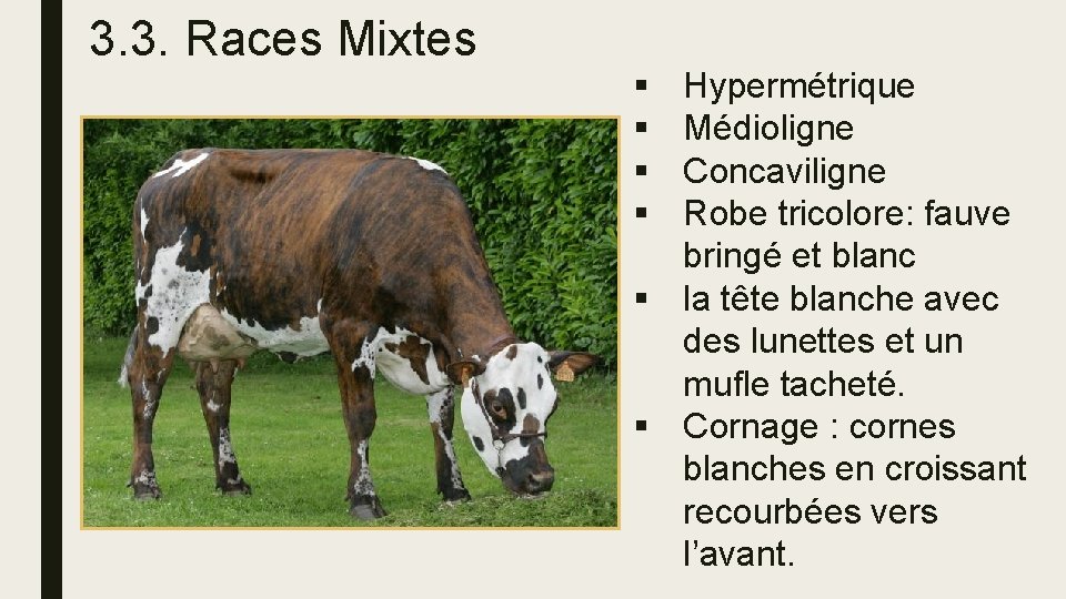 3. 3. Races Mixtes § § Hypermétrique Médioligne Concaviligne Robe tricolore: fauve bringé et