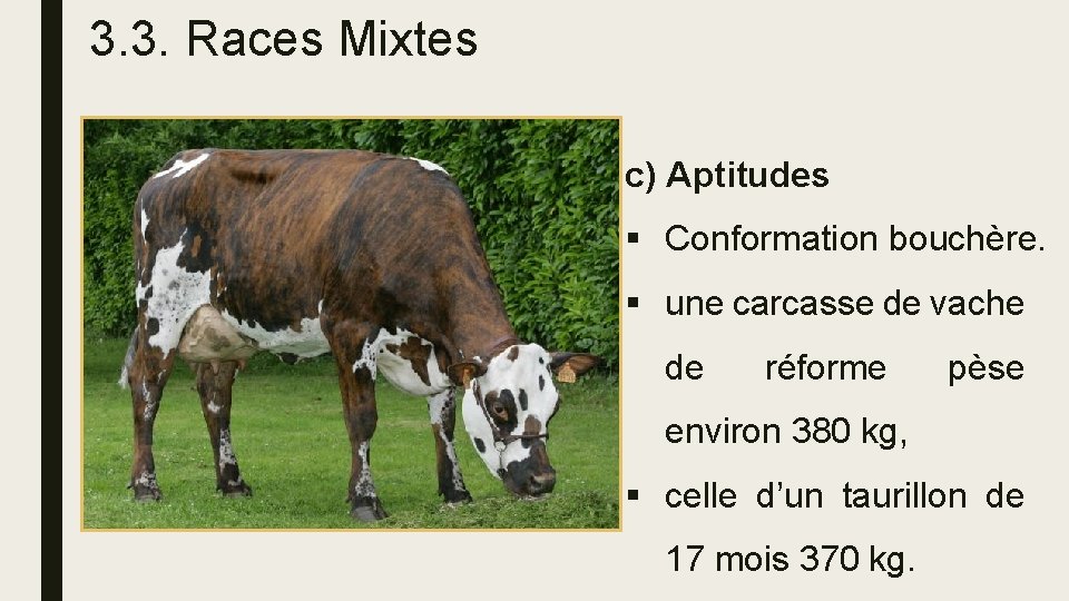 3. 3. Races Mixtes c) Aptitudes § Conformation bouchère. § une carcasse de vache