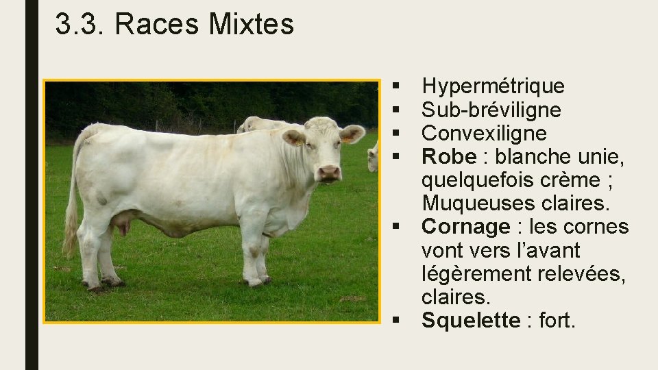 3. 3. Races Mixtes § § Hypermétrique Sub-bréviligne Convexiligne Robe : blanche unie, quelquefois