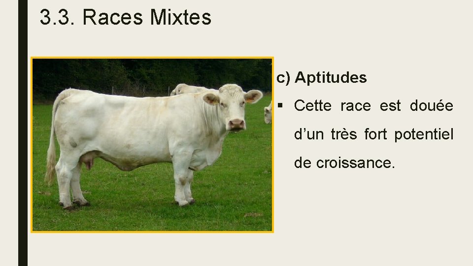 3. 3. Races Mixtes c) Aptitudes § Cette race est douée d’un très fort