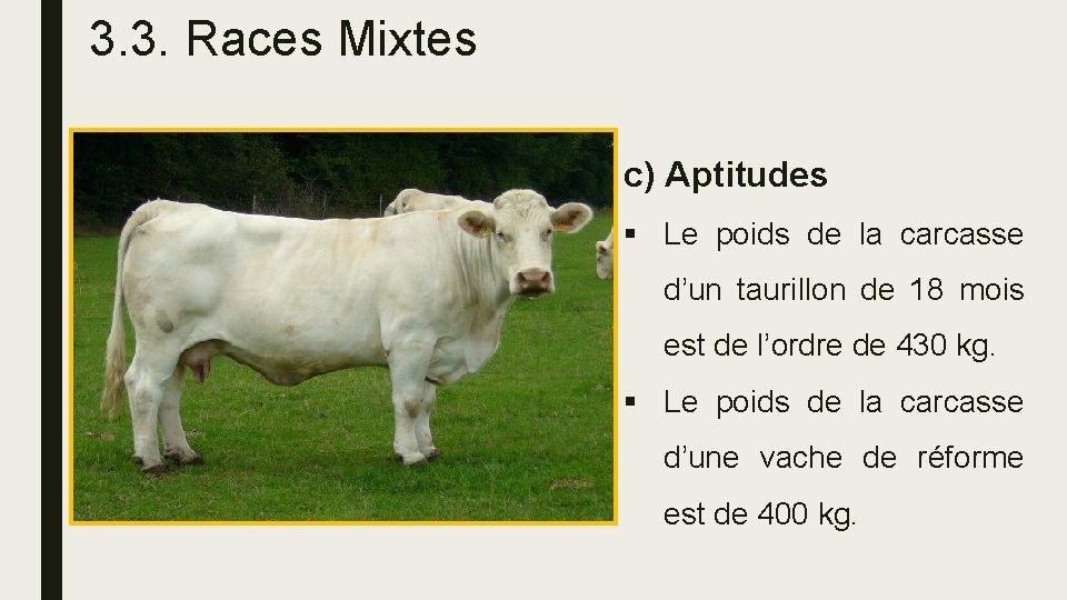 3. 3. Races Mixtes c) Aptitudes § Le poids de la carcasse d’un taurillon