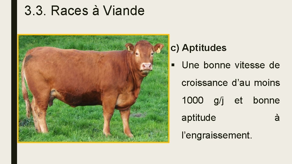 3. 3. Races à Viande c) Aptitudes § Une bonne vitesse de croissance d’au