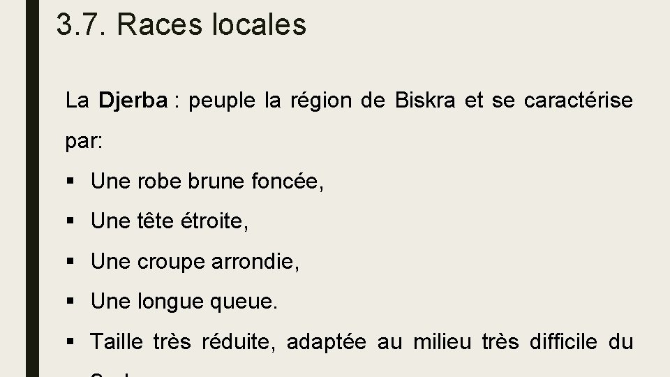 3. 7. Races locales La Djerba : peuple la région de Biskra et se