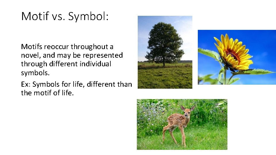 Motif vs. Symbol: Motifs reoccur throughout a novel, and may be represented through different