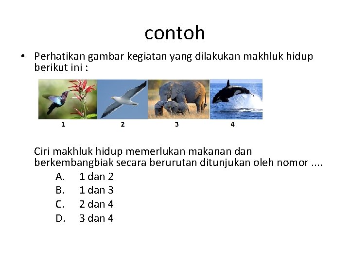 contoh • Perhatikan gambar kegiatan yang dilakukan makhluk hidup berikut ini : Ciri makhluk