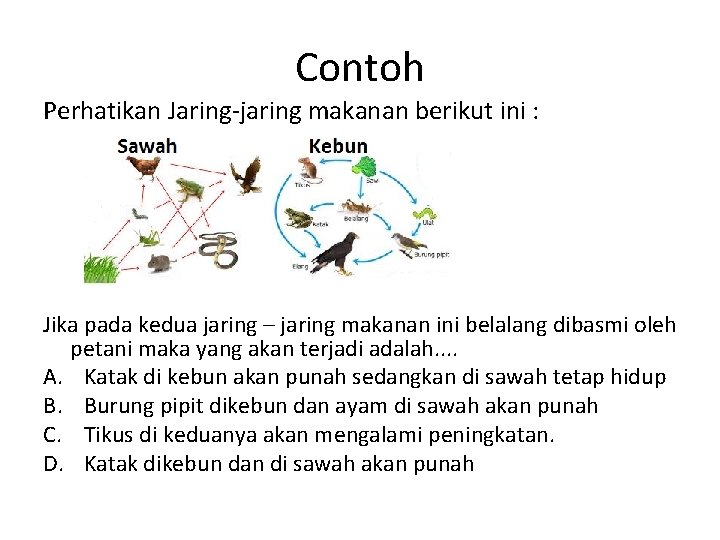 Contoh Perhatikan Jaring jaring makanan berikut ini : Jika pada kedua jaring – jaring