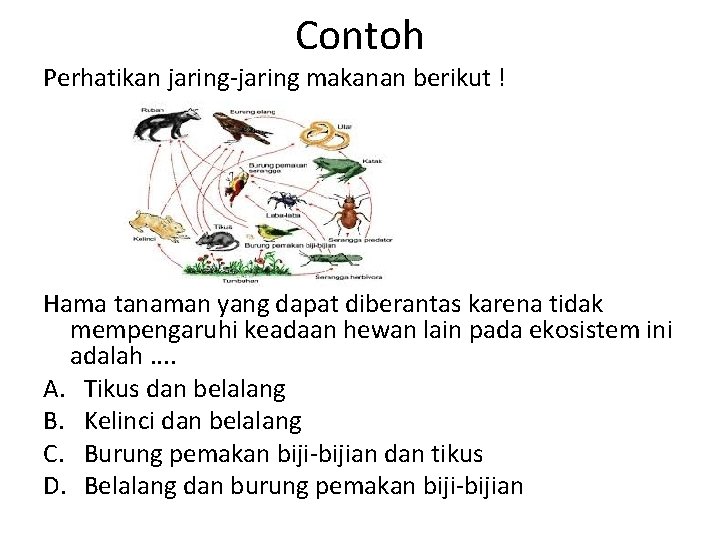 Contoh Perhatikan jaring makanan berikut ! Hama tanaman yang dapat diberantas karena tidak mempengaruhi