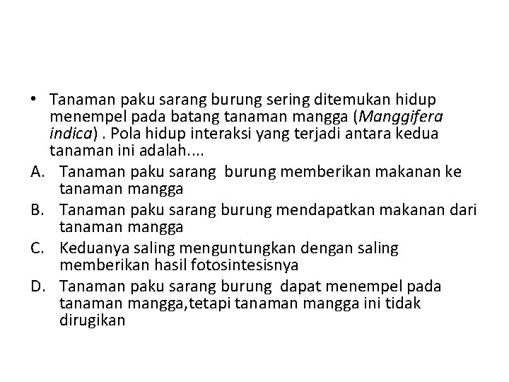  • Tanaman paku sarang burung sering ditemukan hidup menempel pada batang tanaman mangga