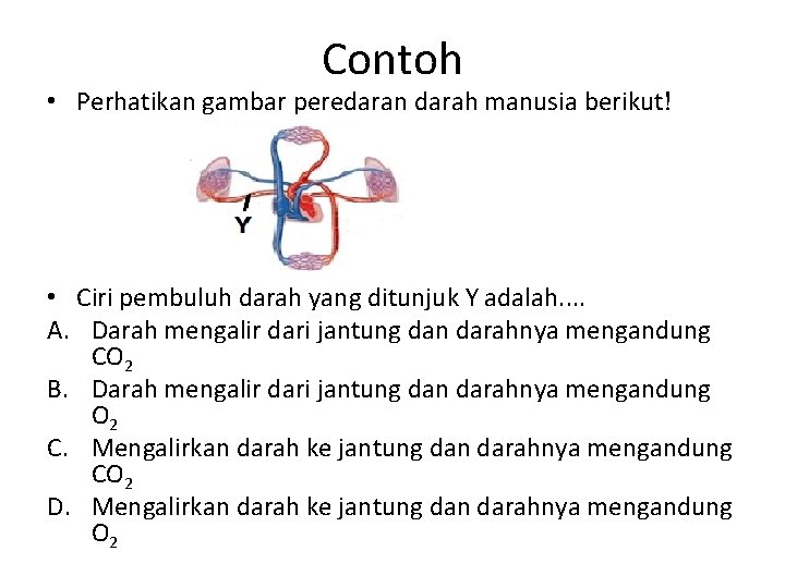 Contoh • Perhatikan gambar peredaran darah manusia berikut! • Ciri pembuluh darah yang ditunjuk