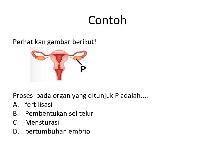 Contoh Perhatikan gambar berikut! Proses pada organ yang ditunjuk P adalah. . A. fertilisasi