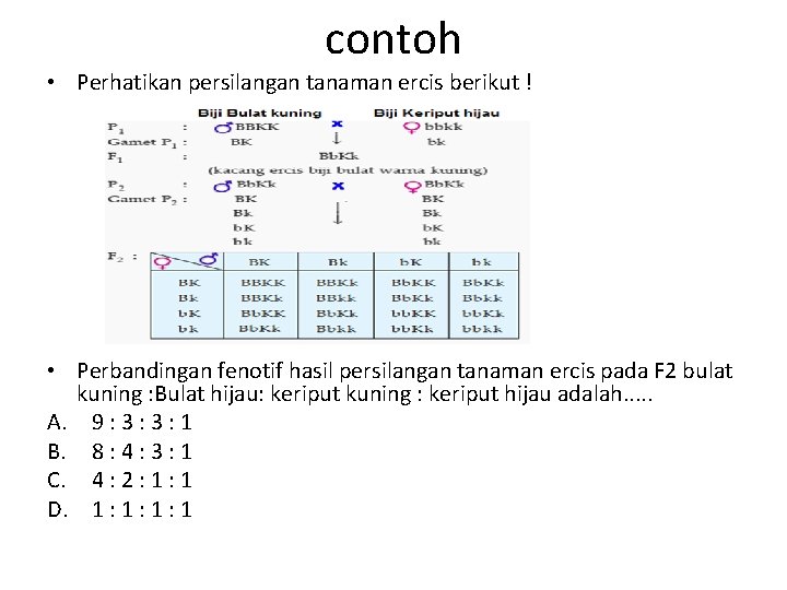 contoh • Perhatikan persilangan tanaman ercis berikut ! • Perbandingan fenotif hasil persilangan tanaman