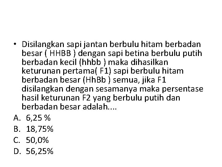  • Disilangkan sapi jantan berbulu hitam berbadan besar ( HHBB ) dengan sapi