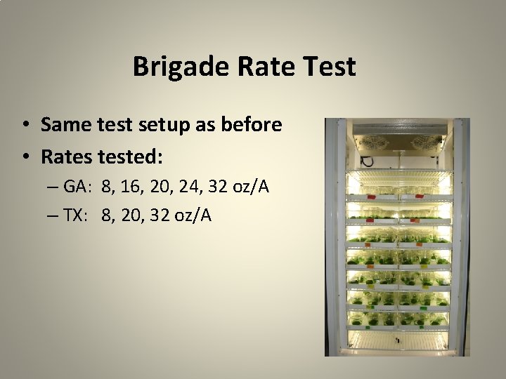 Brigade Rate Test • Same test setup as before • Rates tested: – GA: