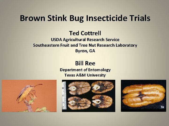 Brown Stink Bug Insecticide Trials Ted Cottrell USDA Agricultural Research Service Southeastern Fruit and