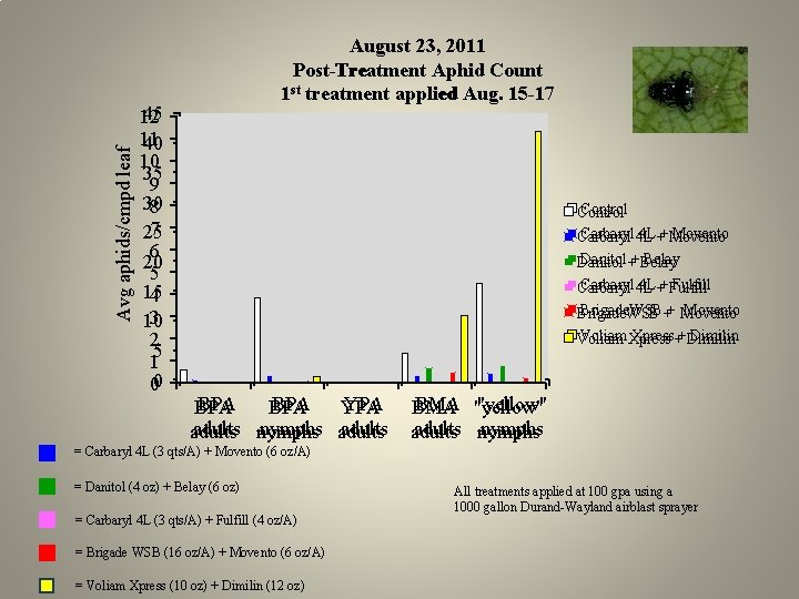 Avg aphids/cmpd leaf 45 12 11 40 10 35 9 30 8 7 25