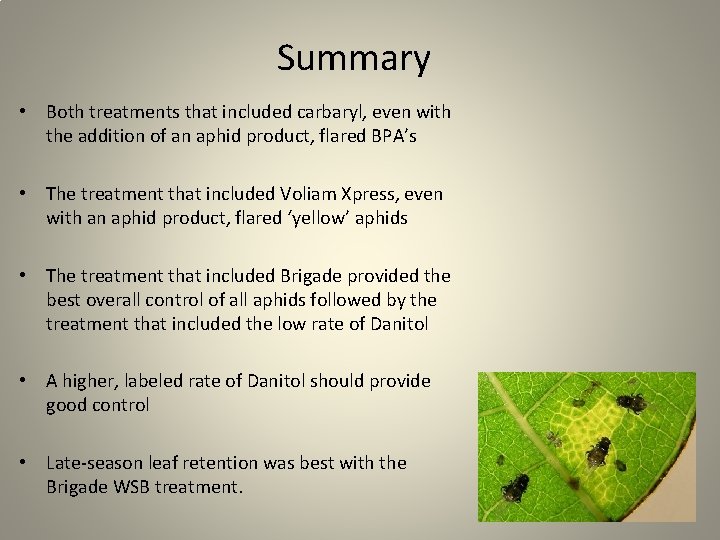 Summary • Both treatments that included carbaryl, even with the addition of an aphid