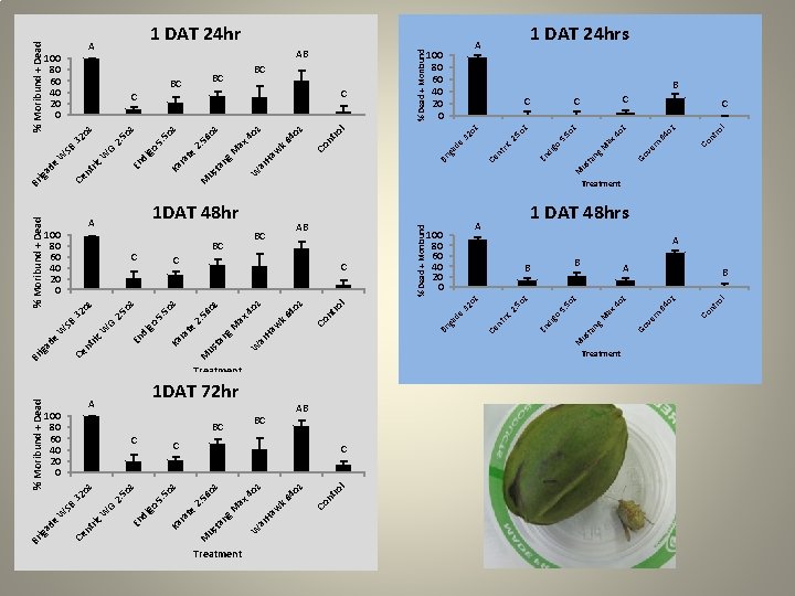Treatment BC l 1 DAT 72 hr C Treatment AB C Treatment oz ro