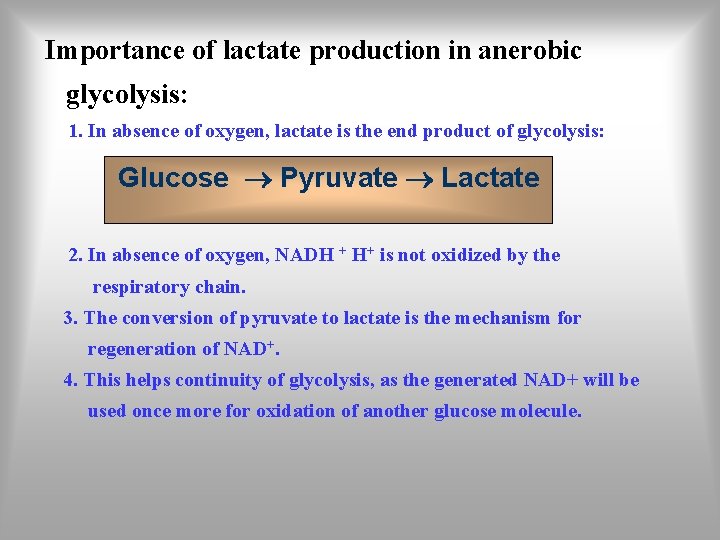 Importance of lactate production in anerobic glycolysis: 1. In absence of oxygen, lactate is