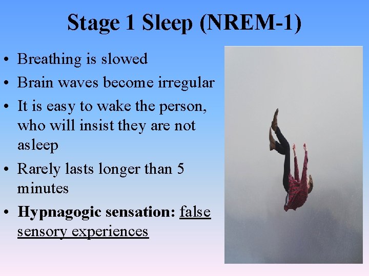 Stage 1 Sleep (NREM-1) • Breathing is slowed • Brain waves become irregular •