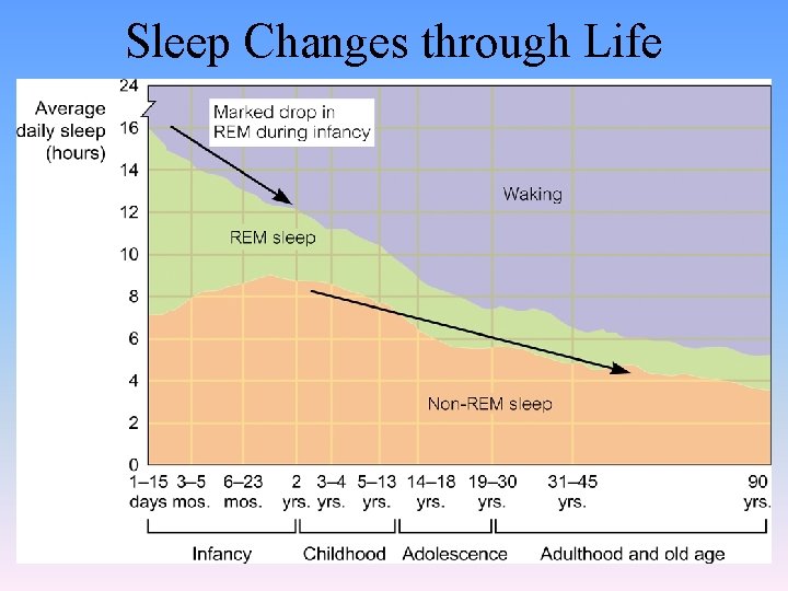 Sleep Changes through Life 