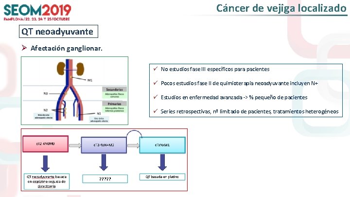 Cáncer de vejiga localizado QT neoadyuvante Ø Afectación ganglionar. ü No estudios fase III