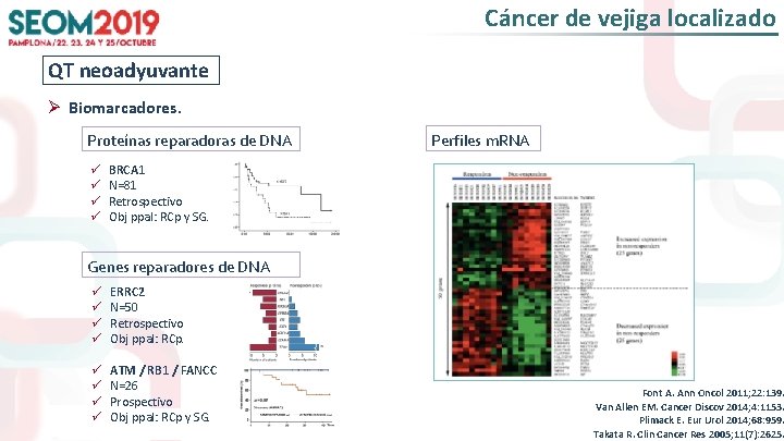 Cáncer de vejiga localizado QT neoadyuvante Ø Biomarcadores. Proteínas reparadoras de DNA ü ü