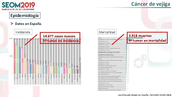 Cáncer de vejiga Epidemiología Ø Datos en España. Incidencia #SEOM 2019 14. 677 casos